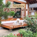 작장 | 함평/함평이야기] 강아지와 함께한 함평 한옥마을 촌캉스, 애견동반 한옥숙소 10만원 가성비 내돈내산 후기