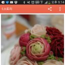 슈슈앙 이미지