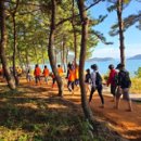 세이 카카오 검색결과