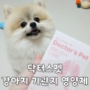 브레스:숨 | 강아지 기관지 영양제, 닥터스펫 브레스 케어 급여 후기