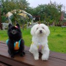 해피팬션 이미지