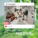 보타닉동물병원 이미지