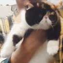 슈가그린헤어 네이버블로그