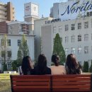 지에스25전주평화주공점 | 나고야여행 3일차 | 노리다케의 숲, 미라이타워, 하브스