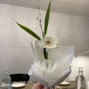 썸머링(summering) 이미지