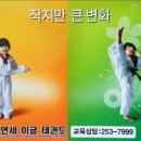 연세이글태권도 이미지