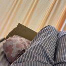 750 | 셀핀다 가바 750 불안 스트레스케어 후기