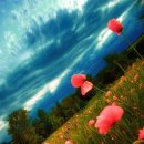 꽃이있는풍경 이미지