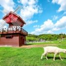 웃음꽃목장 이미지