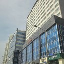 시흥 배곧 쿠우쿠우 뷔페 수요일 평일런치 혼밥 후기