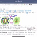 중2 1학기 4단원 증산작용 이미지