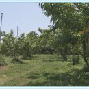 춘향골농협 APC 이미지