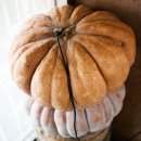 괴강향토식당 이미지