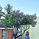 남산3동 행정복지센터 이미지