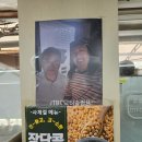 저온숙성부산가야밀면파주 | 금촌밀면맛집 인정 해운대가야밀면 파주금촌직영점 물밀면 만두 후기