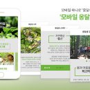깊은산속옹달샘 이미지