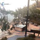 시즌 뷰 이미지