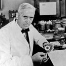 우연한발견 이미지