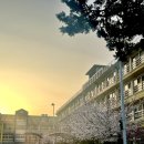 남부순환로317길 15 (3) 이미지