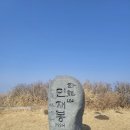 3월3일(화) 사천 와룡산 (새섬봉) 정기산행 이미지