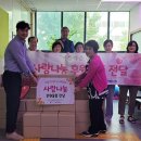 메이저건강기능