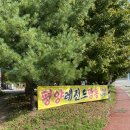 평양레전드짬뽕 | 양주 덕계동 평양레전드짬뽕/차돌짬뽕 /삼선짬뽕 후기