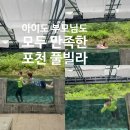 여행이 필요한 시간 | 포천 풀빌라 티볼리빌 후기｜아이도 부모님도 모두 만족한 가족여행 숙소