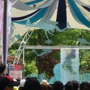 그림책 음악 숲:그림책과 음악의 만남 | 📚 2025 남이섬 세계책나라축제 | 아이와 함께하는 그림책 여행 &amp; 숲속 북콘서트 🌳📖