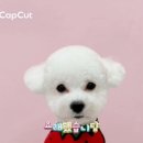 쓰다드멍 이미지