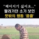 소는 임자를 알건만? 이미지