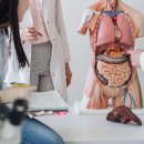 소화약국 이미지