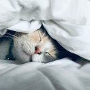 (40+)스마트폰으로 시작하는 유튜브(1) 이미지