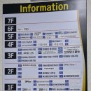 홍성 내포남자미용실 이레룸 웨딩촬영 다운펌 본식 헤어 디자인 솔직 후기