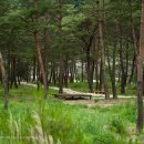 낙동정맥트레일 이미지