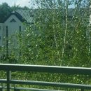 강정한우마을 이미지