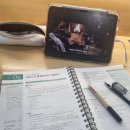 벌막공원 | [일상 블로그] 2025년, 12월