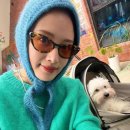 레인보우마카롱 이미지
