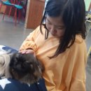 퍼피앤커피 이미지