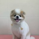 러브몽먼트 이미지