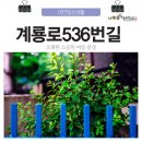 계룡로536번길 이미지