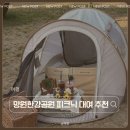 힐링plus | [망원 한강공원 피크닉] 피크닉리스트 망원점에서 텐트 대여하고 힐링하고 온 후기!