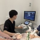 화성동물병원 - 성주군 시장길 6 | 화성동물병원