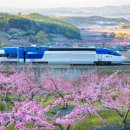 곡성레져문화센터 | 인구감소지역 열차 환급! 여행비 굳히는 꿀팁? 운임 전액 쿠폰 환급 신청 가이드