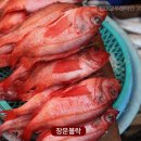금태 네이버블로그