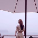 에바다애견 이미지