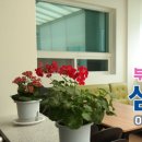 심당요양병원 이미지