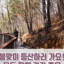 남동구 만수산 무장애나눔길 네이버블로그