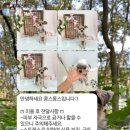 콩스몽스 이미지