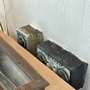 신성원 | 강릉 맛집ㅣ강릉 물곰탕, 곰치국 맛집 '신성원식당'ㅣ내돈내산 솔직후기