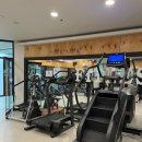 청춘 요가 이미지